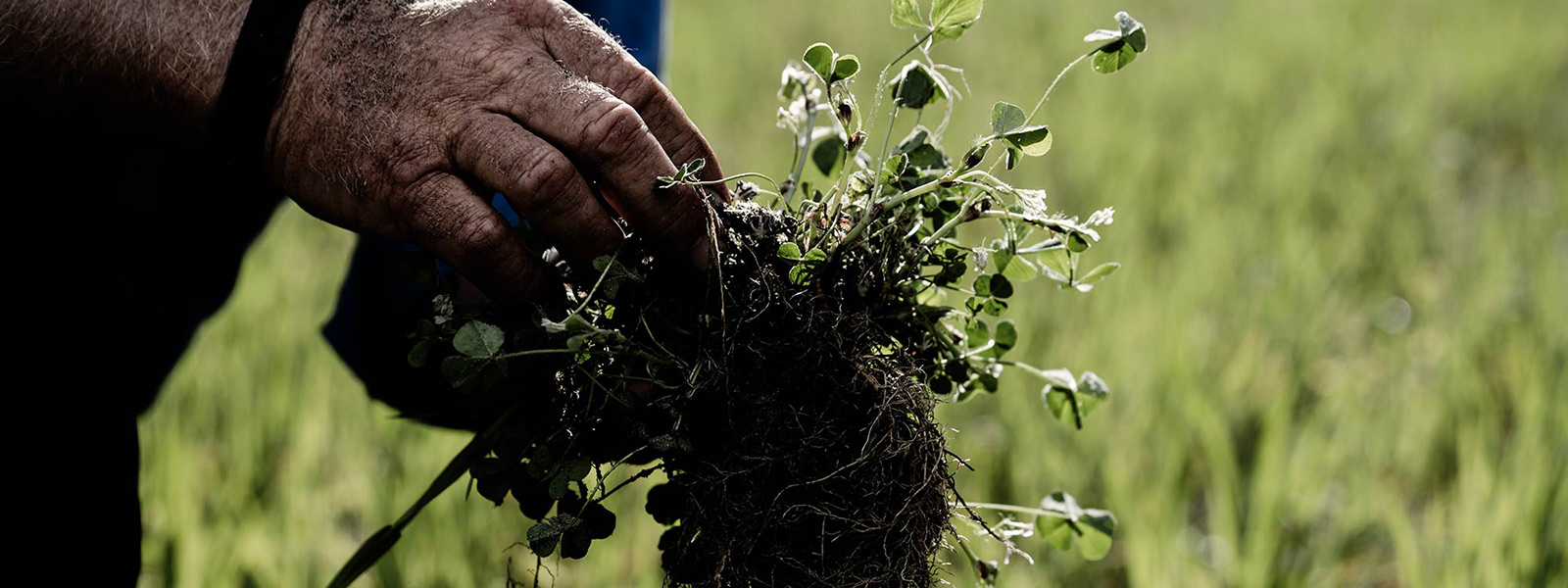 <h3 style="text-align: center;"><span style="color: #ffffff;">What does soil have to do with your wardrobe?</span></h3>